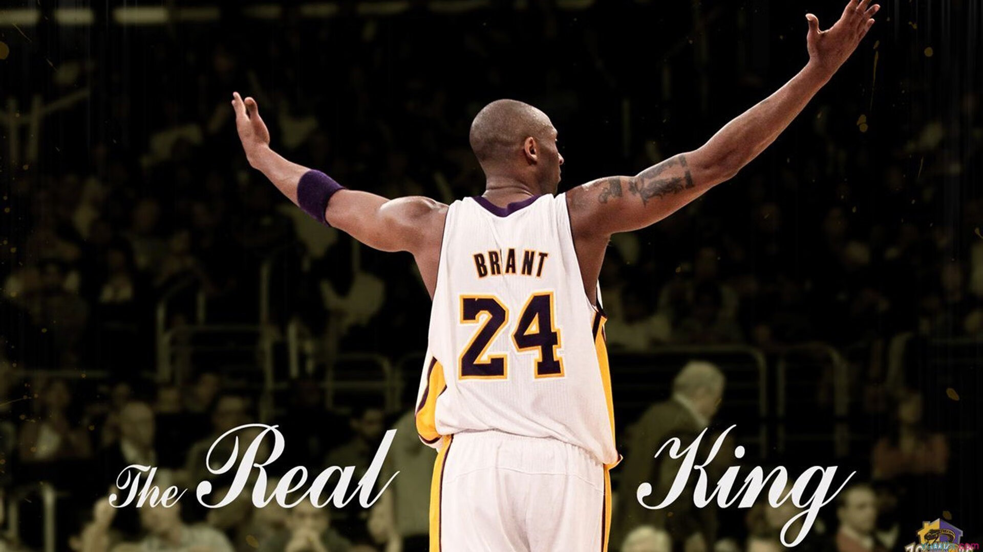 泰伦·卢确认卡瓦伊·伦纳德因脚踝扭伤将缺席数场比赛，泰伦卢 纳什