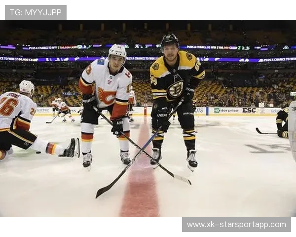 多组NHL首轮系列赛进入抢五决胜阶段，nhl队伍
